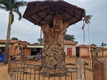 7: Original tree where after being auctioned the slaves left for the sea, Oudah