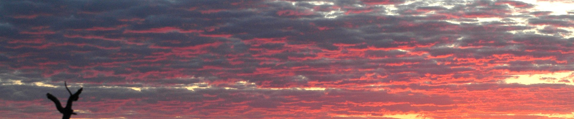 Haga clic para mostrar u ocultar los botones