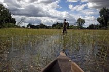 22: Okavango delta