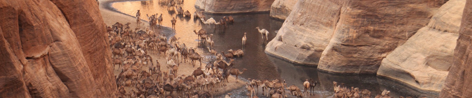 Haga clic para mostrar u ocultar los botones