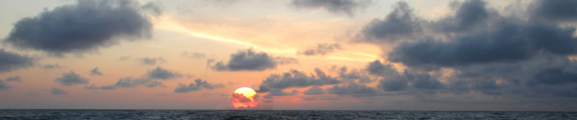 Haga clic para mostrar u ocultar los botones