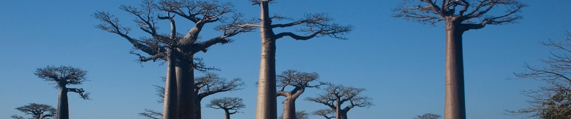 Haga clic para mostrar u ocultar los botones