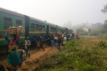 24: Forest train at Ampitambe early in the morning..