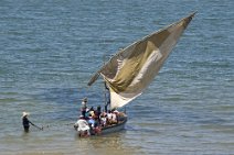 5: Passengers on board (Maxise)