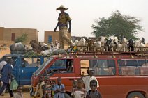 19: Bus station at Takoukou