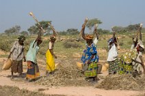 6: Houssa smashing millet