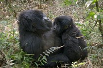 10: mother and child