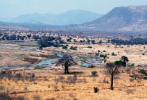 1: Ruaha National Park