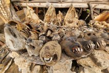 3: Fetish market, Lomé...