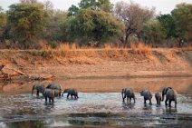 5: Going back home (Lower Zambezi N.P.)