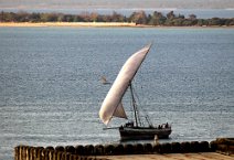 6: Big Dhow at Stone town